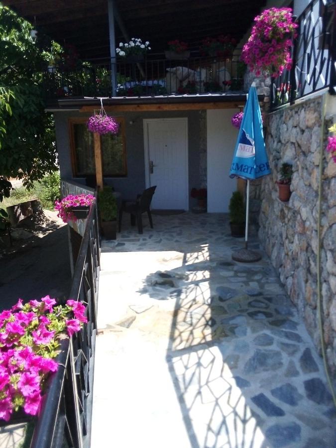Guest House Stevovski Elshani Dış mekan fotoğraf