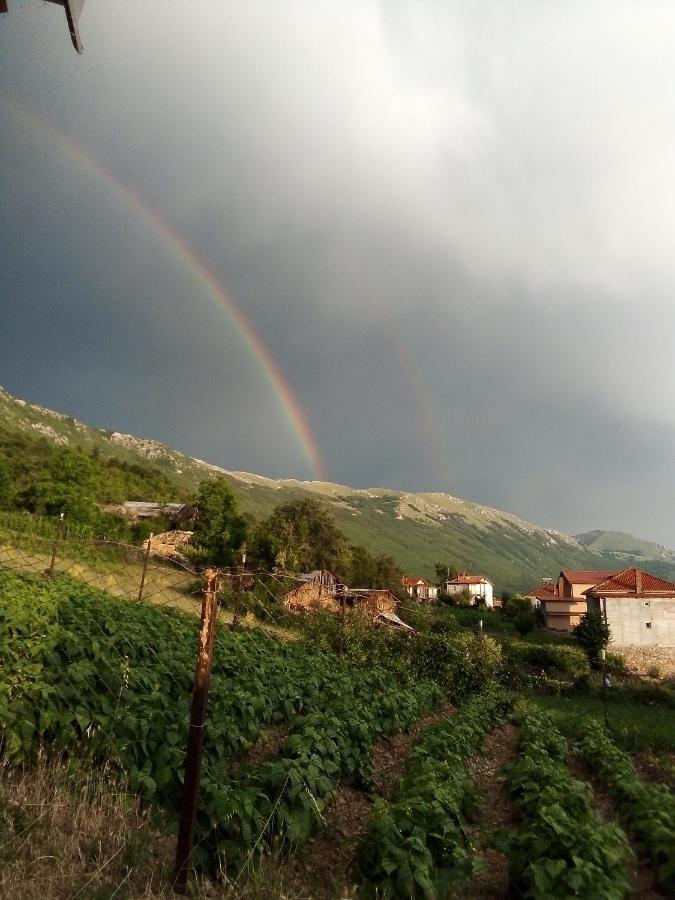 Guest House Stevovski Elshani Dış mekan fotoğraf