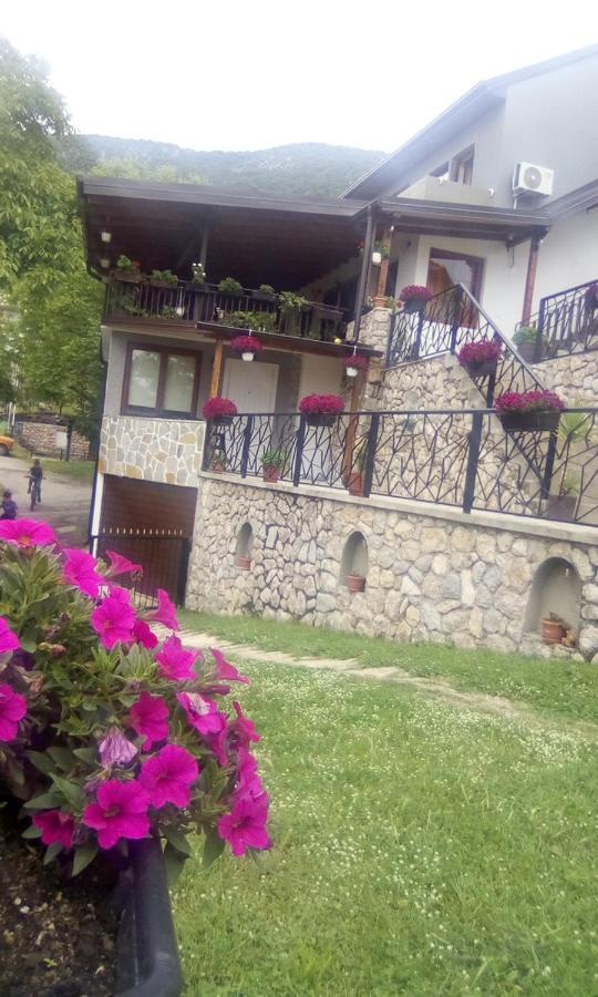 Guest House Stevovski Elshani Dış mekan fotoğraf