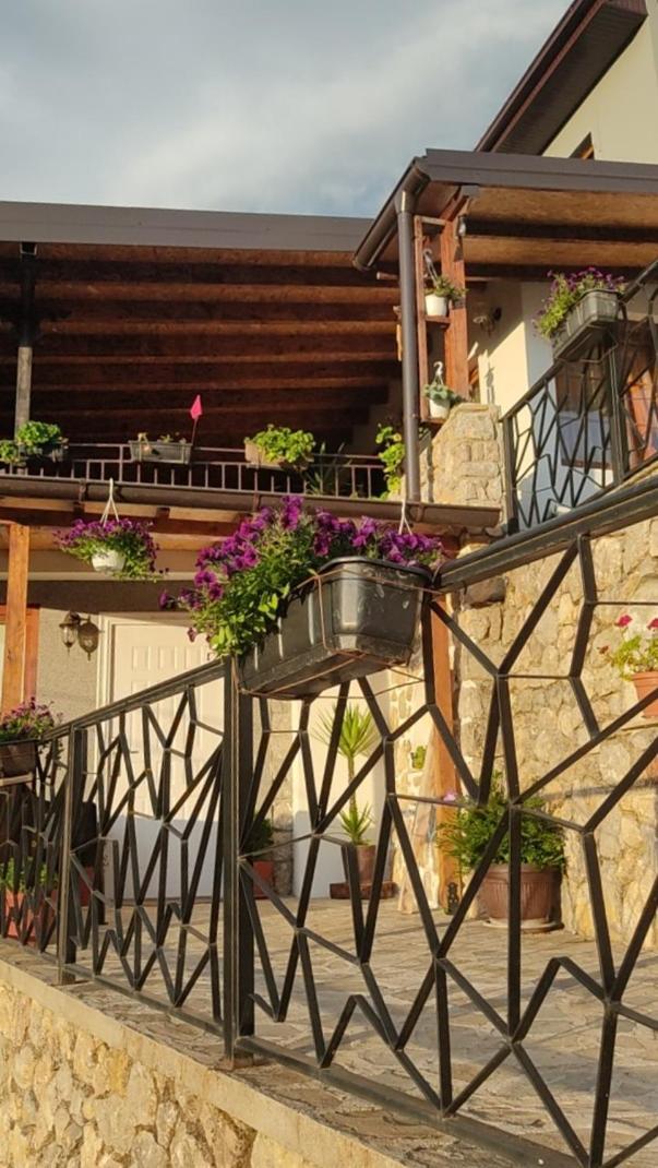 Guest House Stevovski Elshani Dış mekan fotoğraf