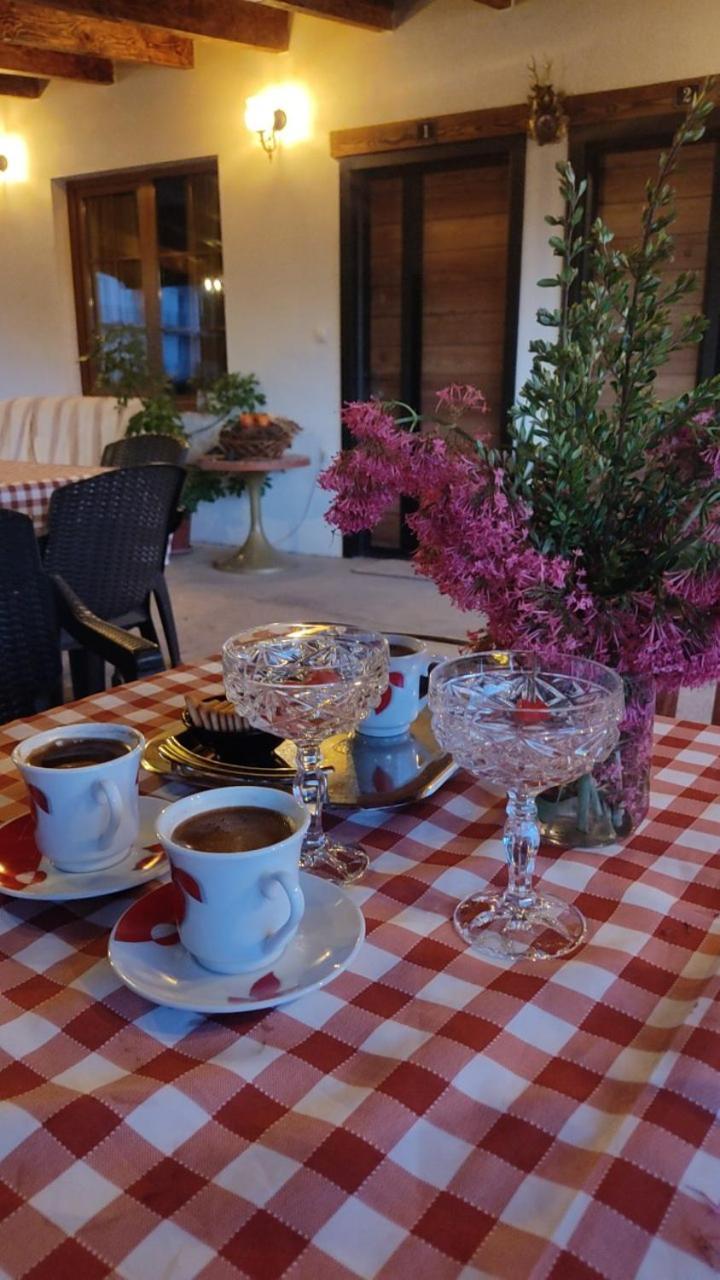 Guest House Stevovski Elshani Dış mekan fotoğraf