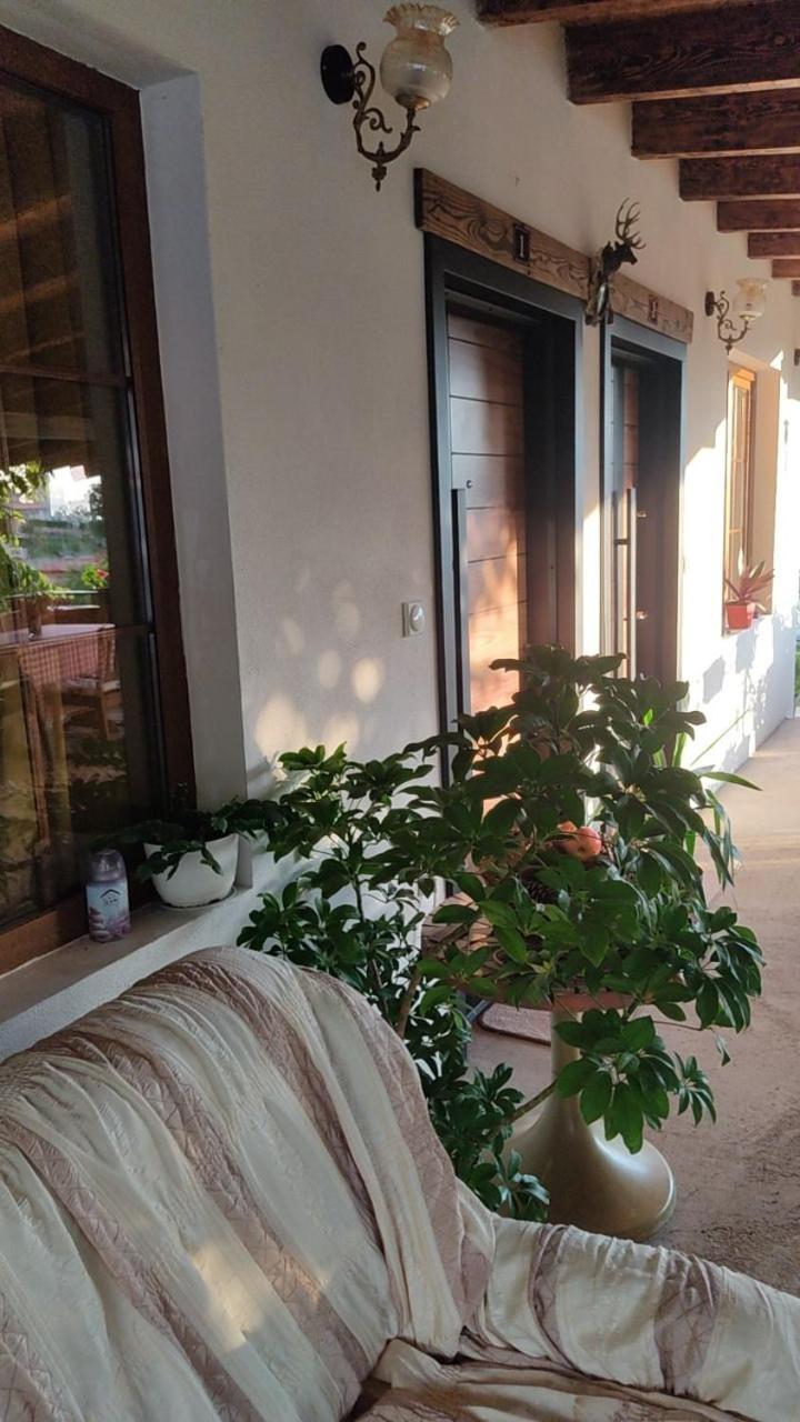 Guest House Stevovski Elshani Dış mekan fotoğraf